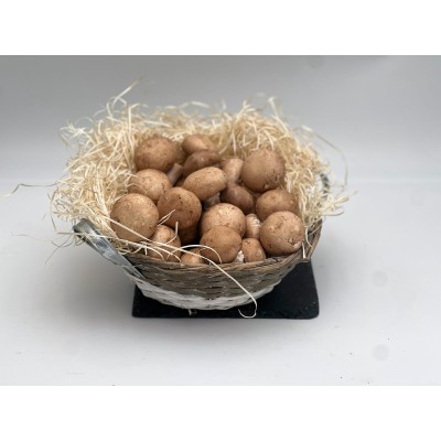 Champignon de Paris