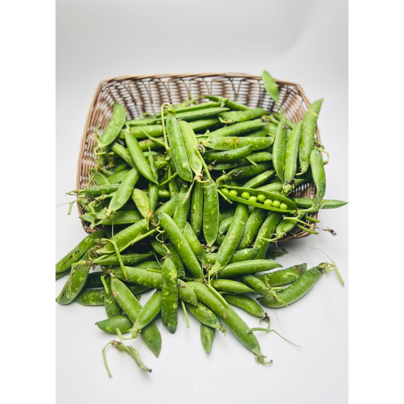 Petit pois