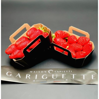 Fraise Gariguette