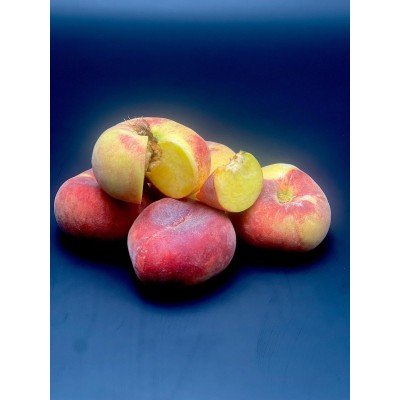 Pêche Plate