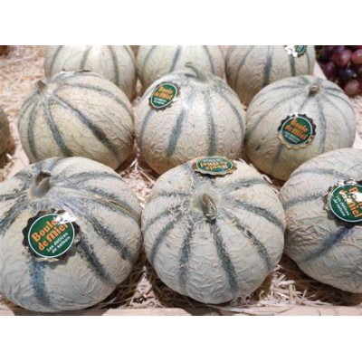 Melon "Boule de Miel"