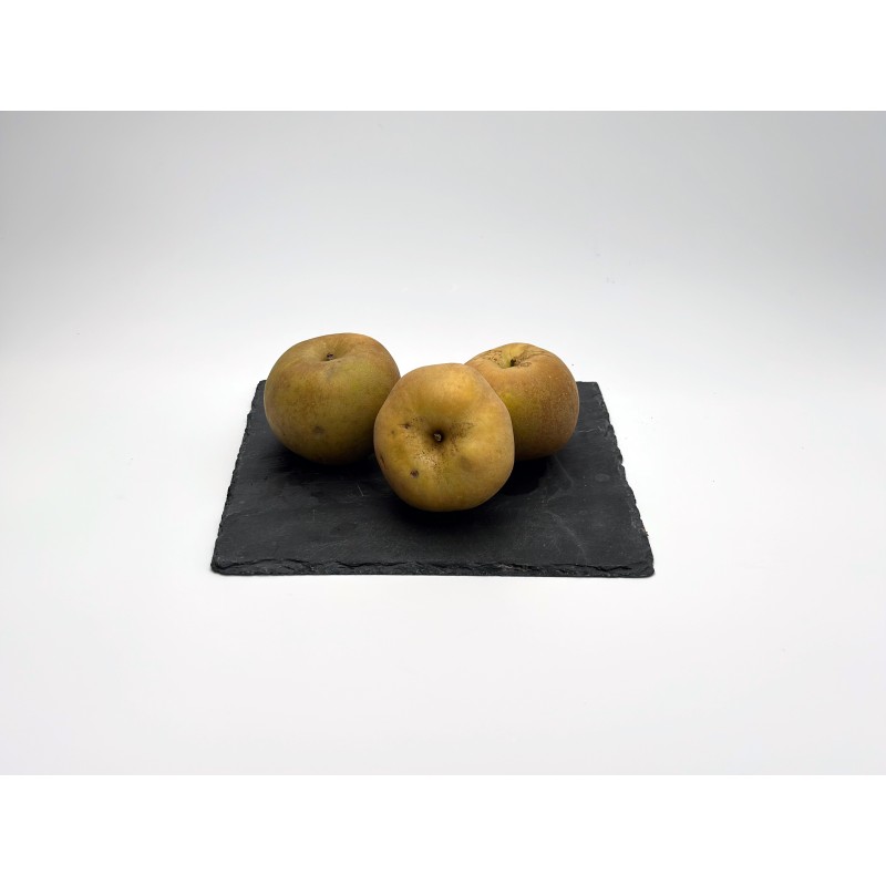 Pomme Canada
