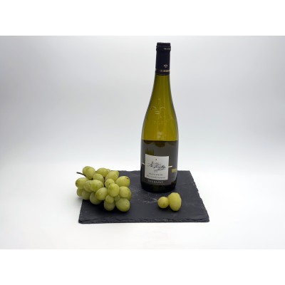 Sauvignon Touraine 2021