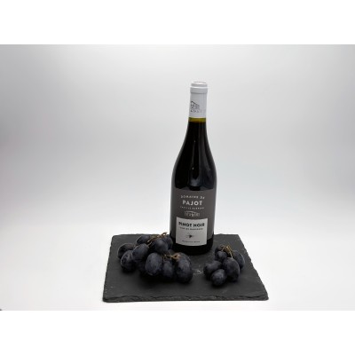 Domaine de Pajot - Pinot...