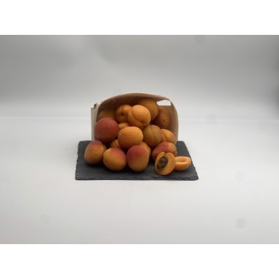 Abricot Vanilla Cot