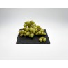 Raisin de Table  blanc sans pépin