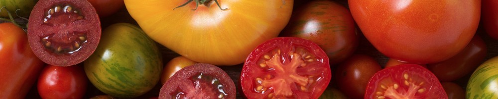 Tomates