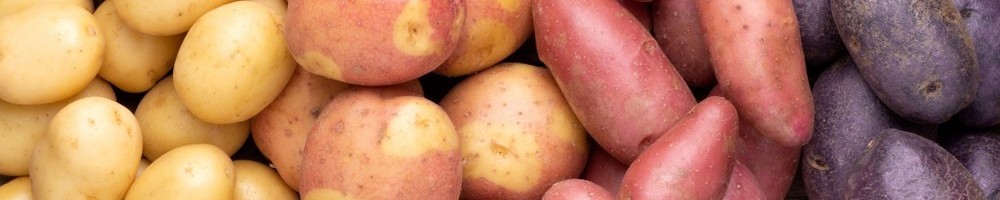 Pommes de terre