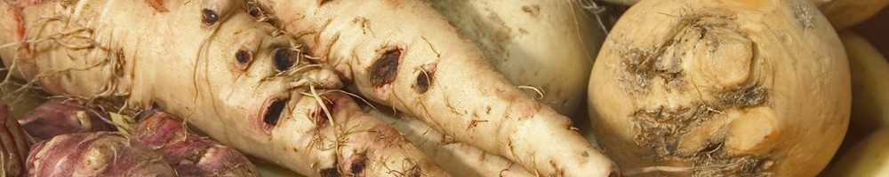 Légumes anciens