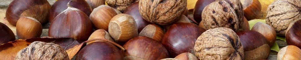 Autres fruits