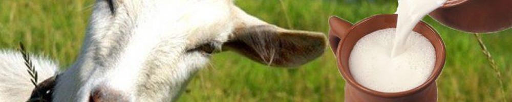 Lait de chèvre